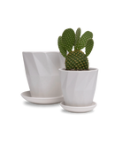 Two Chive Virago G white porcelain pots with drainage and saucers styled with a plant in medium and small.