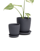 Two Chive Virago H black porcelain pots with drainage and saucers styled with a plant in medium and small.