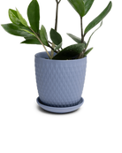 Chive Virago H small blue grey porcelain pot with drainage and saucer styled with a plant.
