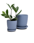 Two Chive Virago H blue grey porcelain pots with drainage and detachable saucers styled with a plant in small and medium.