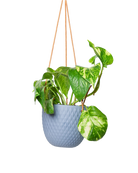 Chive Virago B blue grey ceramic  hanging planter with no drainage styled with a plant.