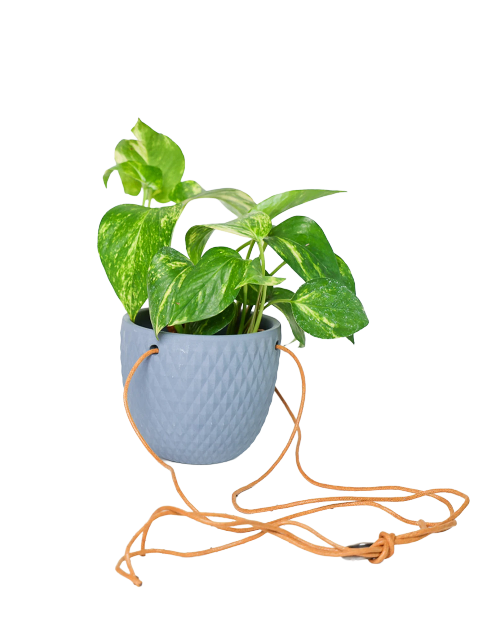 Chive Virago B blue grey ceramic  hanging planter with no drainage styled with a plant, with loose cords.