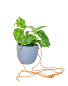Chive Virago B blue grey ceramic  hanging planter with no drainage styled with a plant, with loose cords.