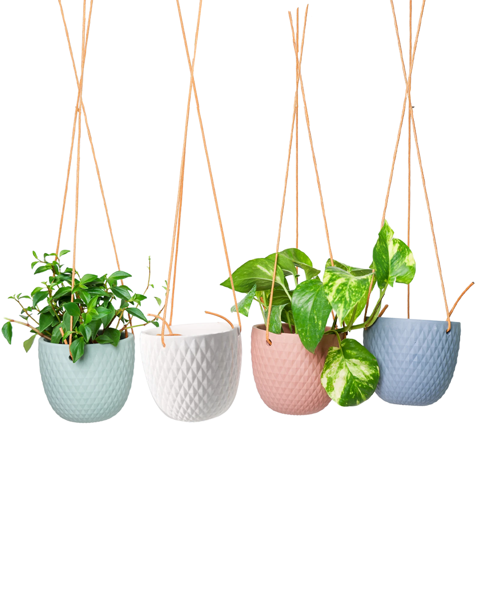 Chive Virago B ceramic hanging planters in blue grey, clay terracotta, peacock green, and white styled with plants.