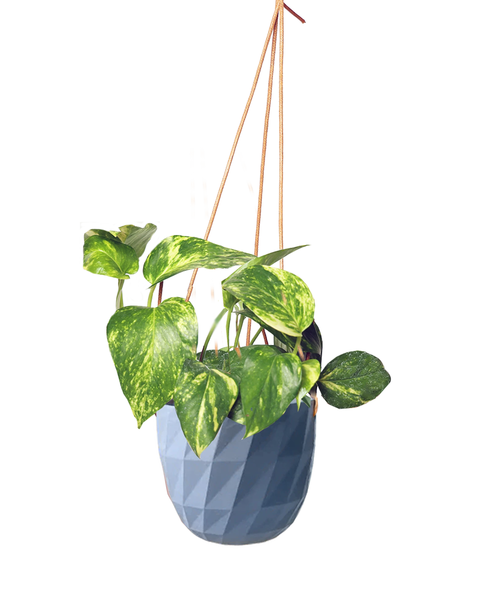 Chive Virago E blue grey ceramic hanging planter styled with a plant.