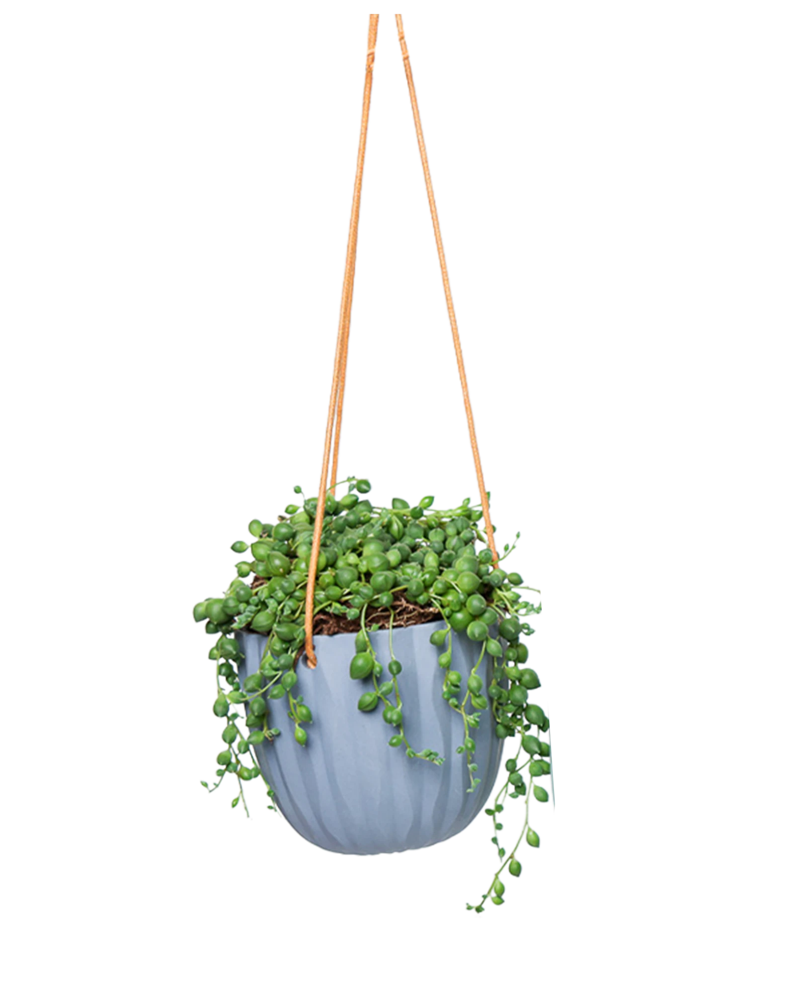 Chive Virago G blue grey ceramic hanging planter styled with a plant.