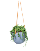 Chive Virago G blue grey ceramic hanging planter styled with a plant.