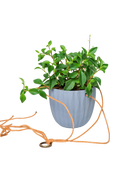 Chive Virago G blue grey ceramic hanging planter styled with a plant, with loose cords.