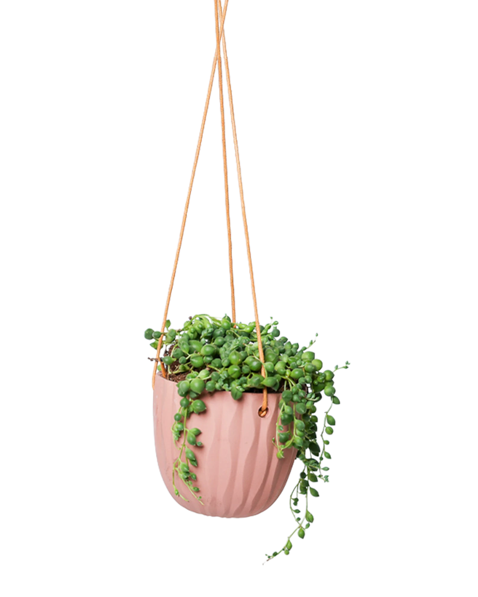 Chive Virago G clay terracotta ceramic   hanging planter styled with a plant.