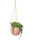 Chive Virago G clay terracotta ceramic   hanging planter styled with a plant.