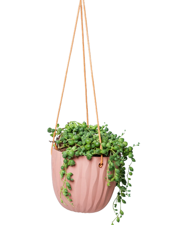 Virago Ceramic Modern Hanging Planter