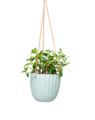 Chive Virago G peacock green ceramic  hanging planter styled with a plant.
