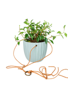 Chive Virago G peacock green ceramic hanging planter styled with a plant, with loose cords.