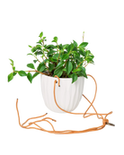 Chive Virago G white ceramic hanging planter styled with a plant, with loose cords.