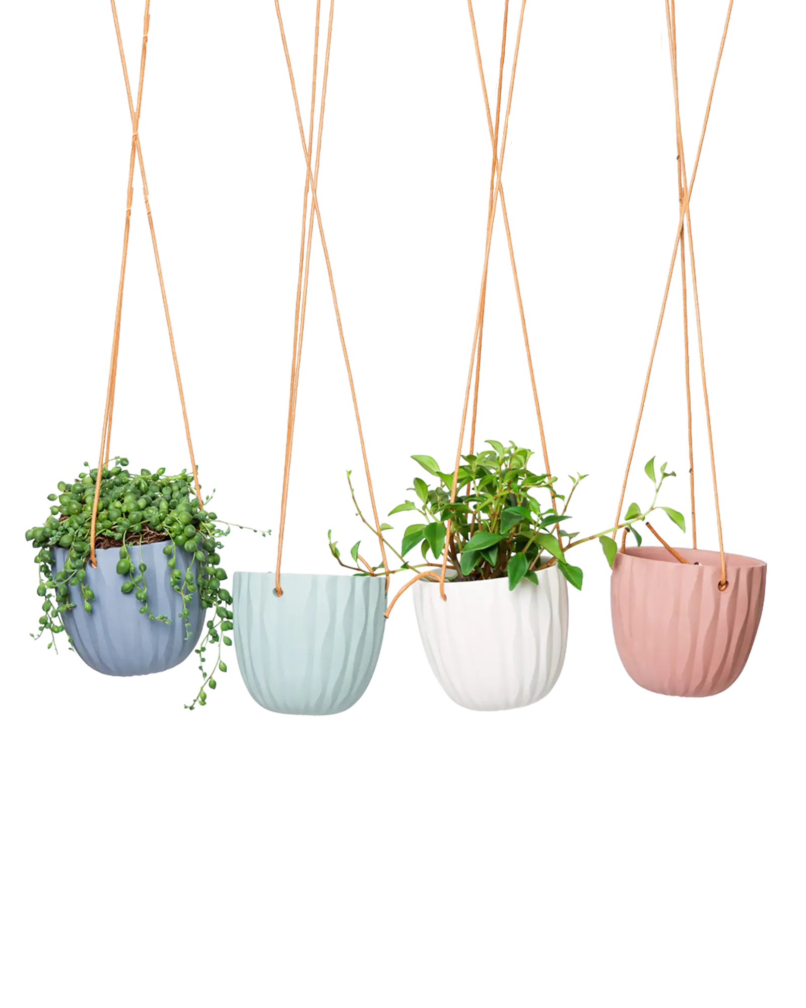 Chive Virago G ceramic hanging planters in blue grey, clay terracotta, peacock green, and white styled with plants.