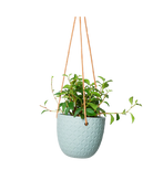 Chive Virago H peacock green ceramic  hanging planter styled with a plant.