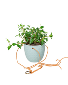 Chive Virago H peacock green ceramic hanging planter styled with a plant, with loose cords.