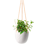 Chive Virago H white ceramic hanging planter styled with a plant.