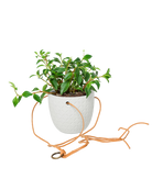 Chive Virago H white ceramic hanging planter styled with a plant, with cords.