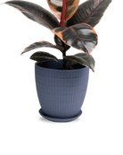 Chive Virago I large blue grey porcelain pot with drainage and saucer styled with a plant.