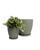Two Chive Virago I olive porcelain pots with with textures in size large and medium styled with a plant.