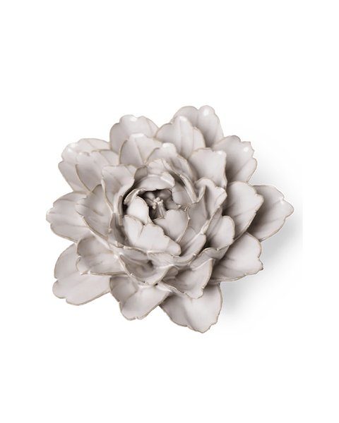 comanchepeony-ivory-1_grande.