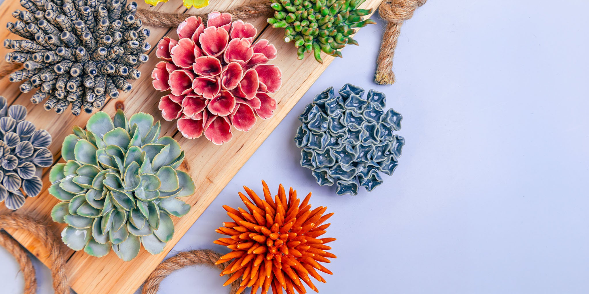 Chive Studio | Handmade Ceramic Wall Flowers, Pots & Seeds