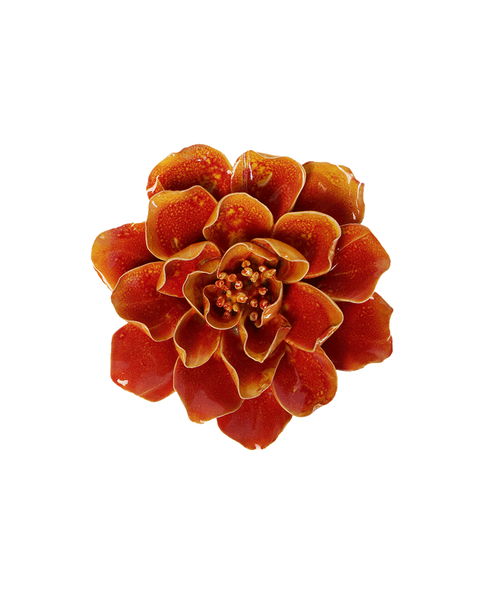 Coworker gift | Orange Yellow Coreopsis | Chive