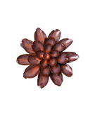 A metallic rose gold succulent flower brooch with layered petals, shown on a solid white background.