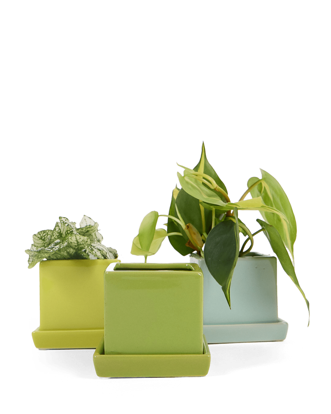 rectangular ceramic plant pots Cube Pot With Drainage