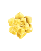 Buttercup Yellow Daffodil ceramic wall flower — English Garden Collection — Chive Ceramics Studio