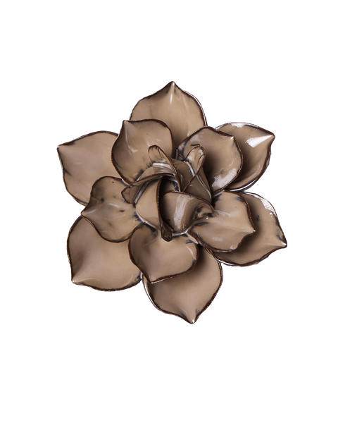daffodil-latte_grande.png?v=