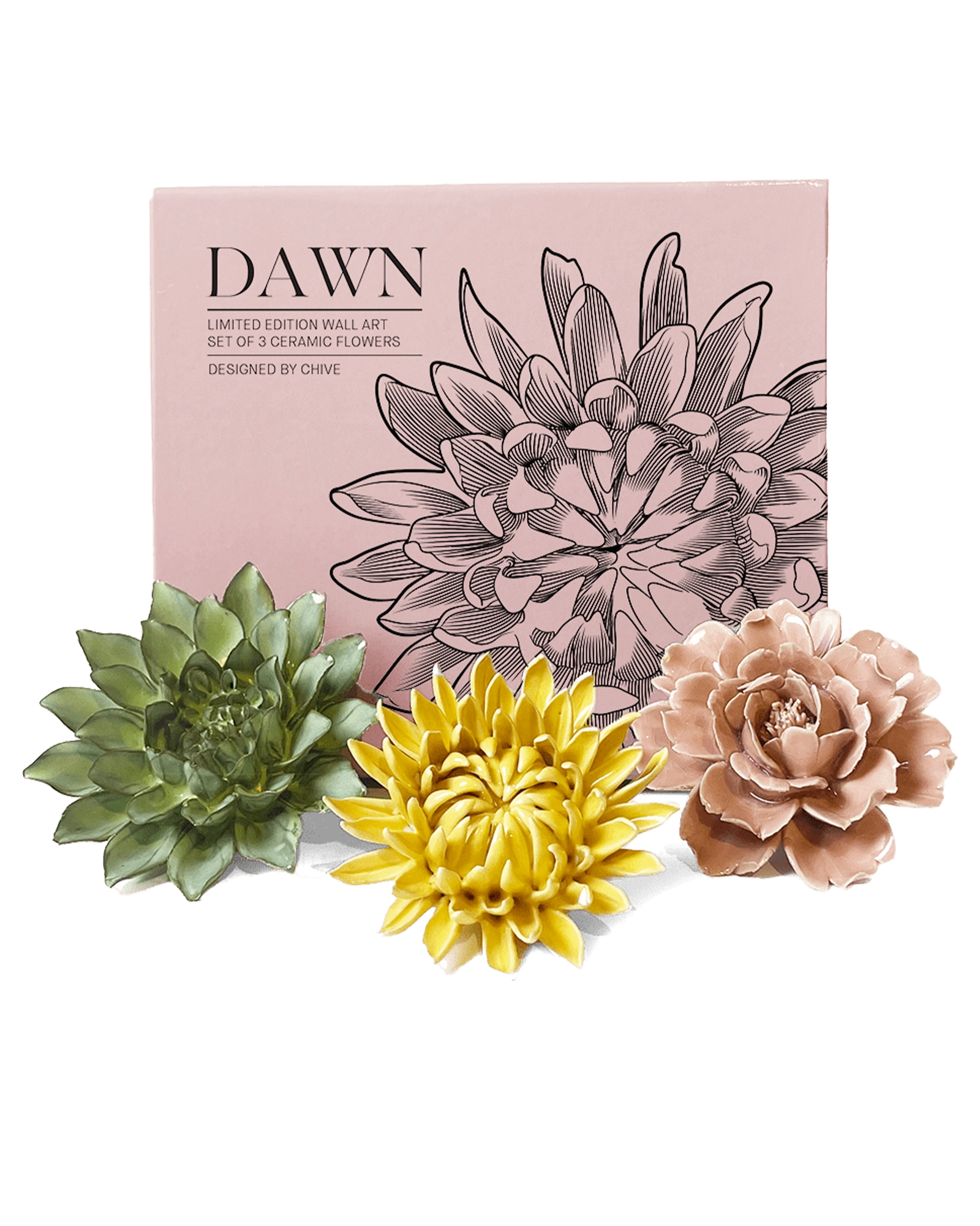 Dawn - Ceramic Flower Wall Art Box Set - handmade by Chive Studio Toronto