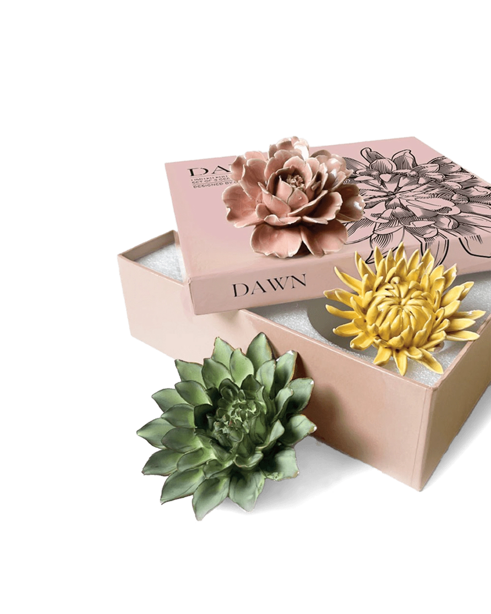 Dawn - Ceramic Flower Wall Art Box Set - handmade by Chive Studio Toronto