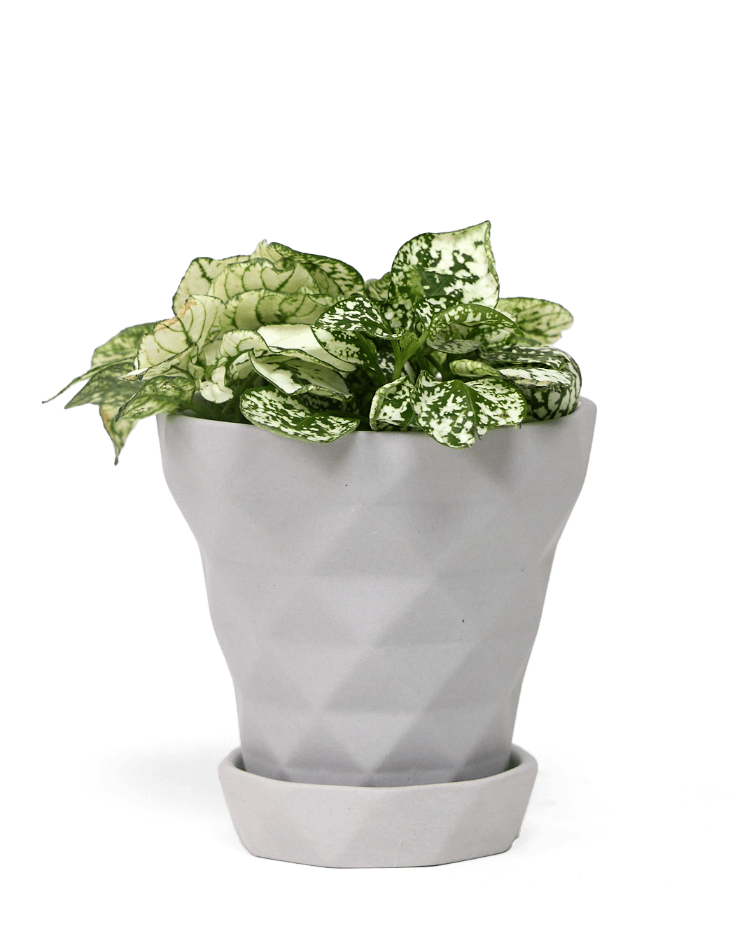 planter pot shapes Diamond Pot