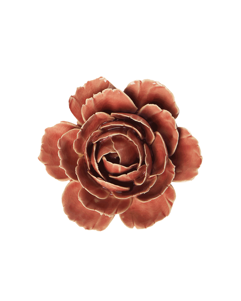 A single dried flower head with layered petals in warm reddish-brown tones, centered on a plain white background.