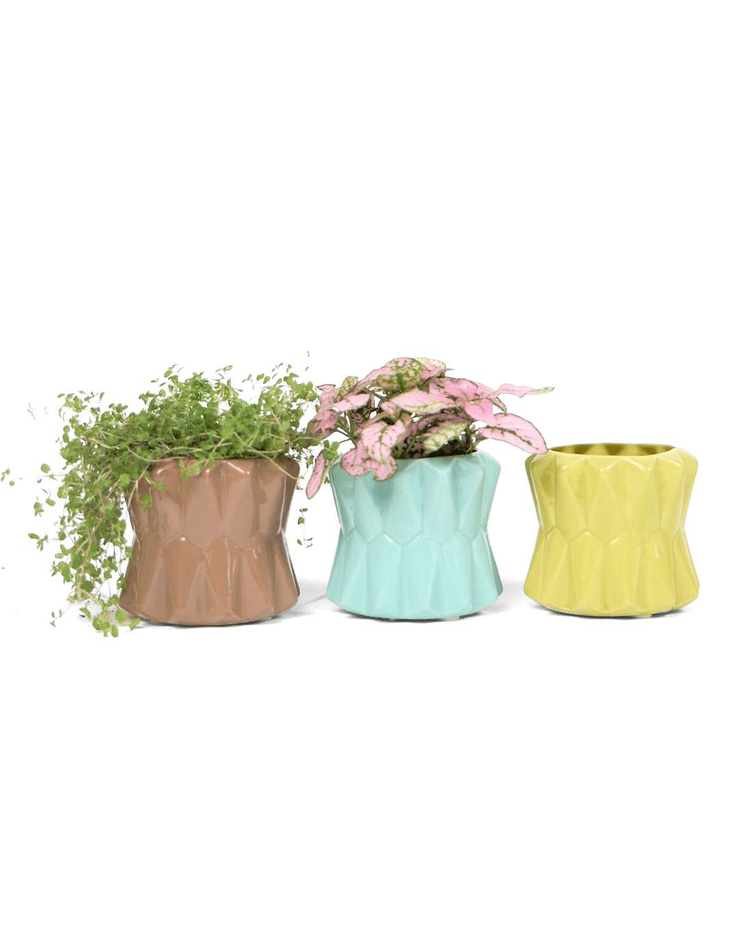 Fang Ceramic Modern Planter For Succulents - Chive Ceramics Studio - Pots - Chive Ceramics Studio