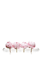 Clear Glass Modern Flower Vase - Flute - handmade by Chive Studio Toronto