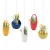 Hanging Aerium Ceramic For Succulents & Ikebana