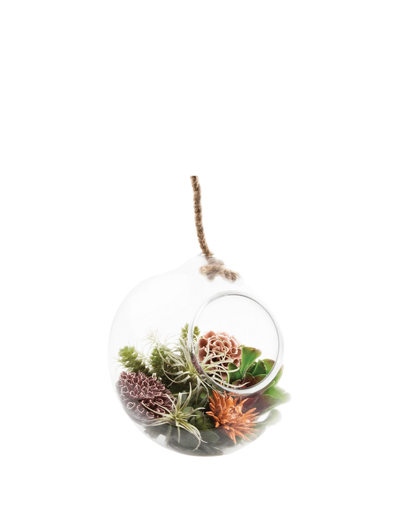 Bolsk Glass Large Hanging Terrarium