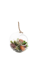 Clear Glass Large Hanging Terrarium - Bolsk - handmade by Chive Studio Toronto