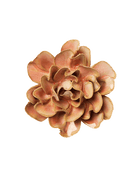 A single artificial flower bloom with layered ruffled petals in warm peach, tan, and light brown tones, isolated on a plain white background.