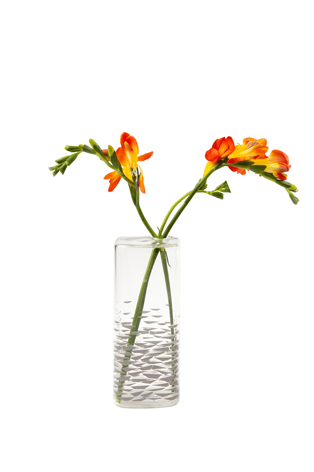 Clear Glass Modern Flower Vase - Decal - handmade by Chive Studio Toronto