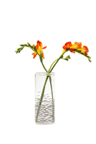 Clear Glass Modern Flower Vase - Decal - handmade by Chive Studio Toronto