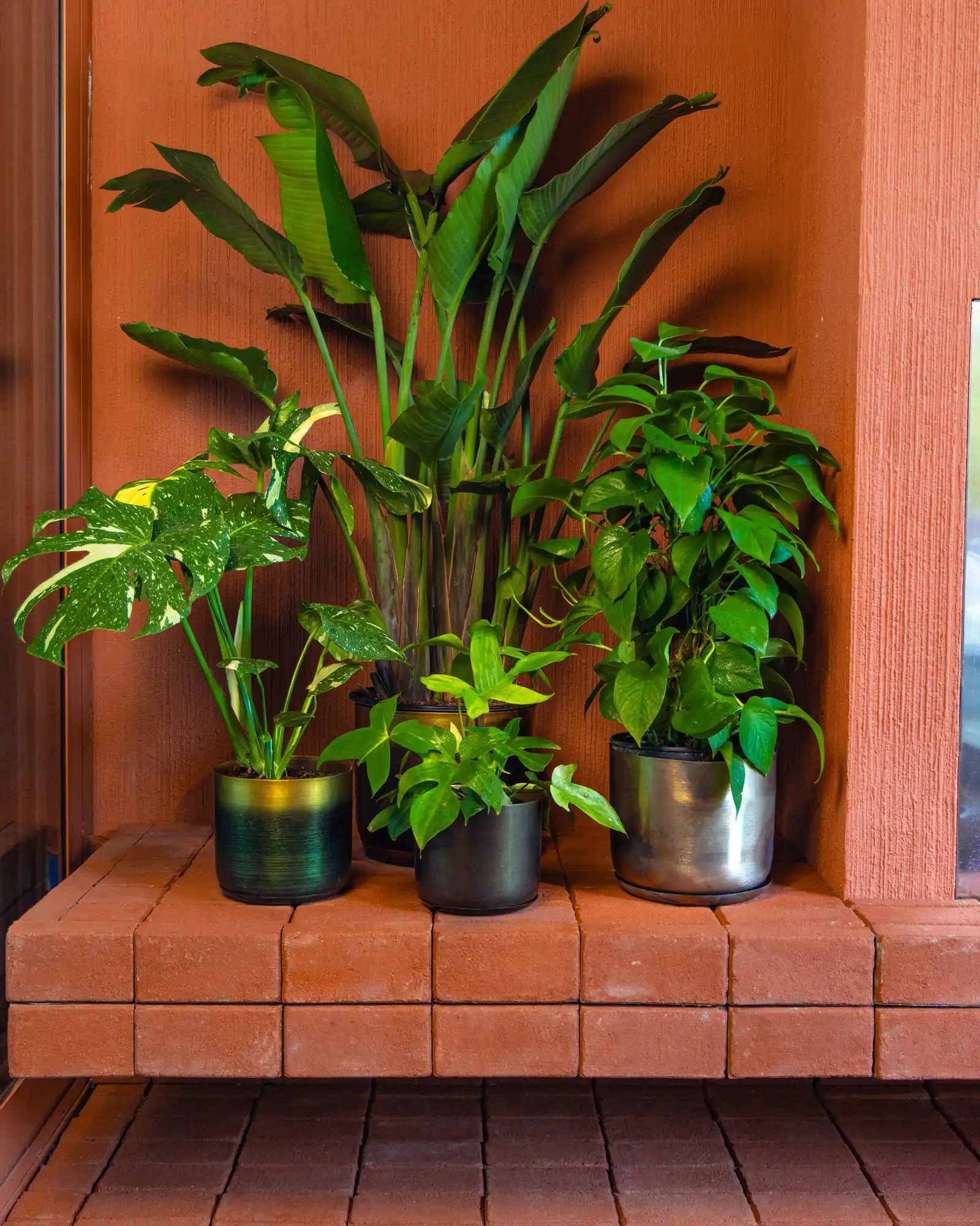 Chive Joe metal plant pot in large and medium, styled with Bird of Paradise, Monstera, and Peperomia against a red brick wall.