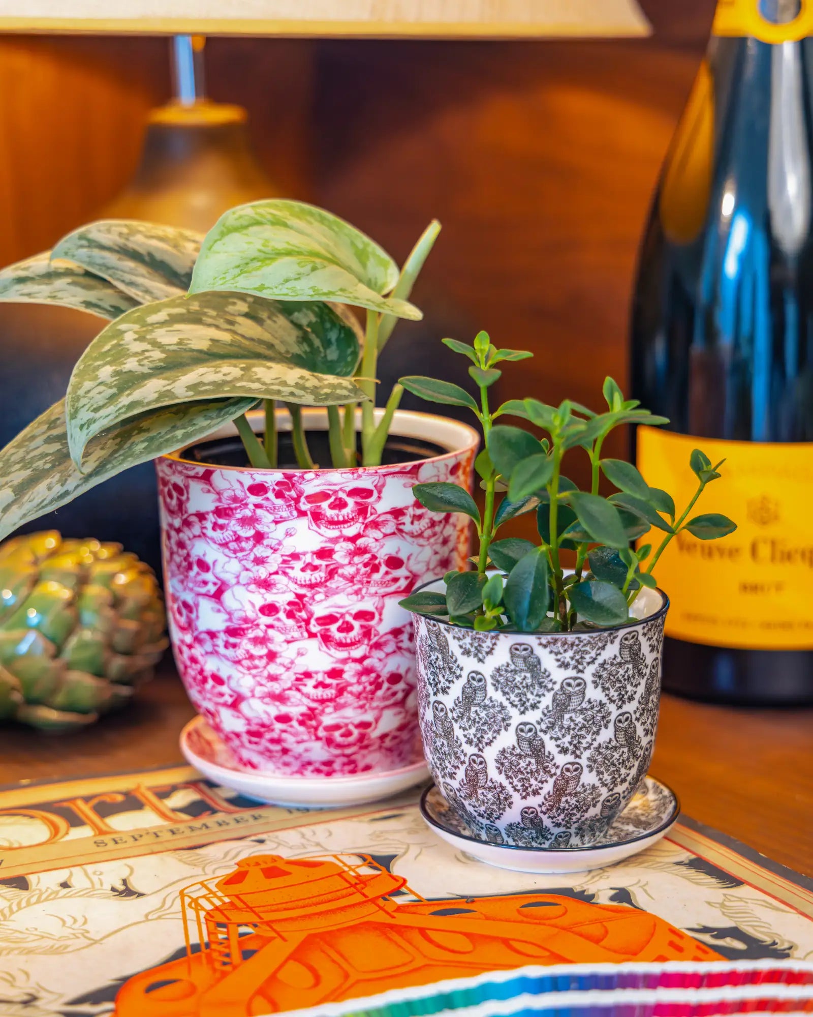 Chive Liberté planters in skull and black owls prints, styled with a silver satin pothos and peperomia on a wood surface.