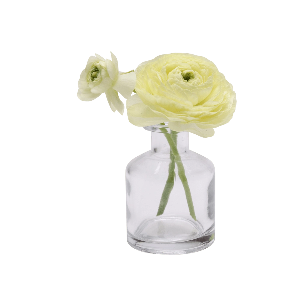 Chive Loft apothecary glass bud vase in clear glass styled with a pale yellow ranunculus bloom.