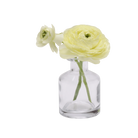 Chive Loft apothecary glass bud vase in clear glass styled with a pale yellow ranunculus bloom.