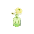 Chive Loft apothecary glass bud vase in green styled with an ivory ranunculus bloom and bud.