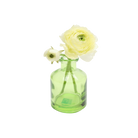 Chive Loft apothecary glass bud vase in green, shown from a side angle with an ivory ranunculus.